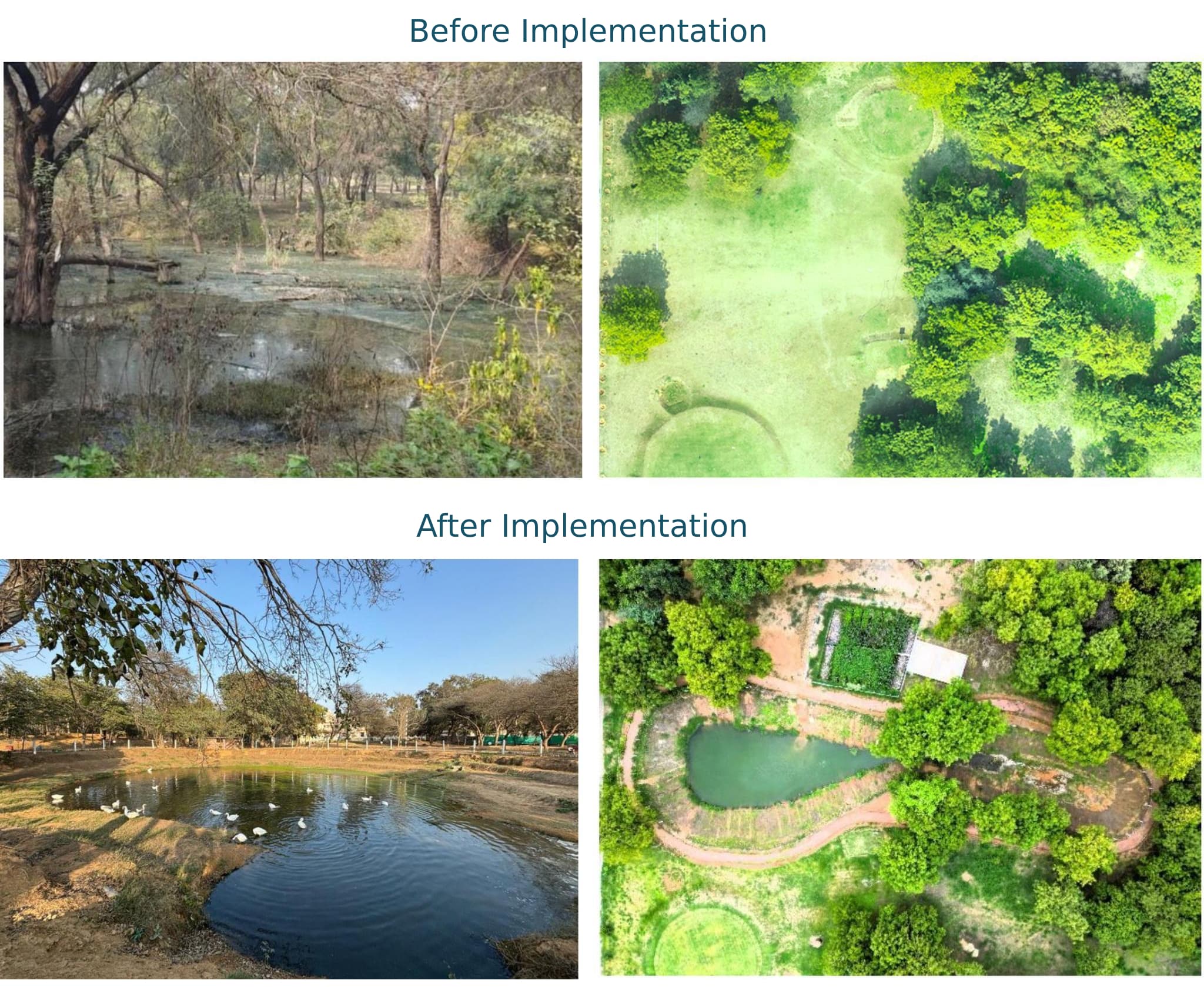 BSF Bhondsi campus site — pond and surrounding buffer zone