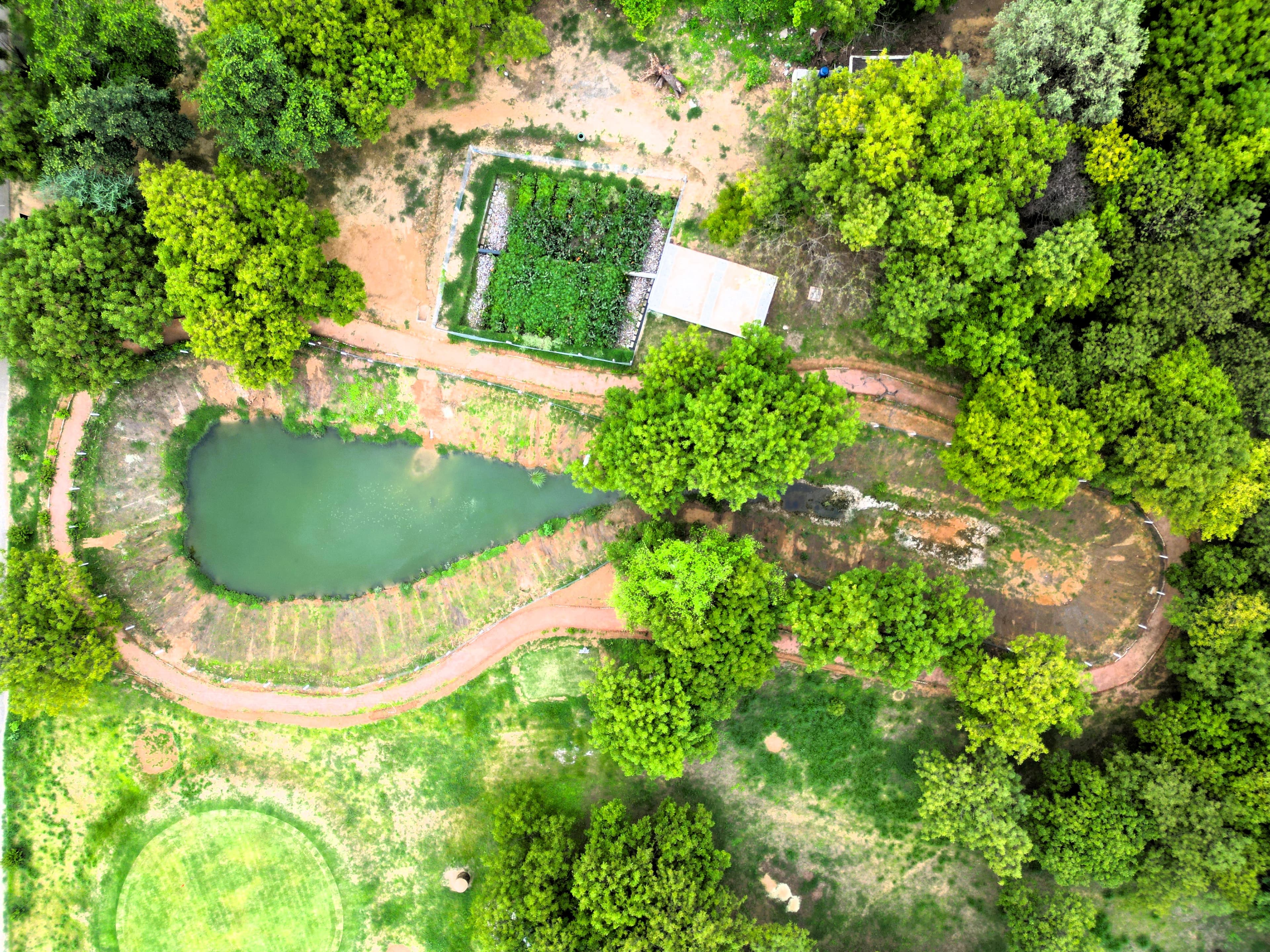 BSF Bhondsi Pond after restoration — thriving community oasis with functional treatment system
