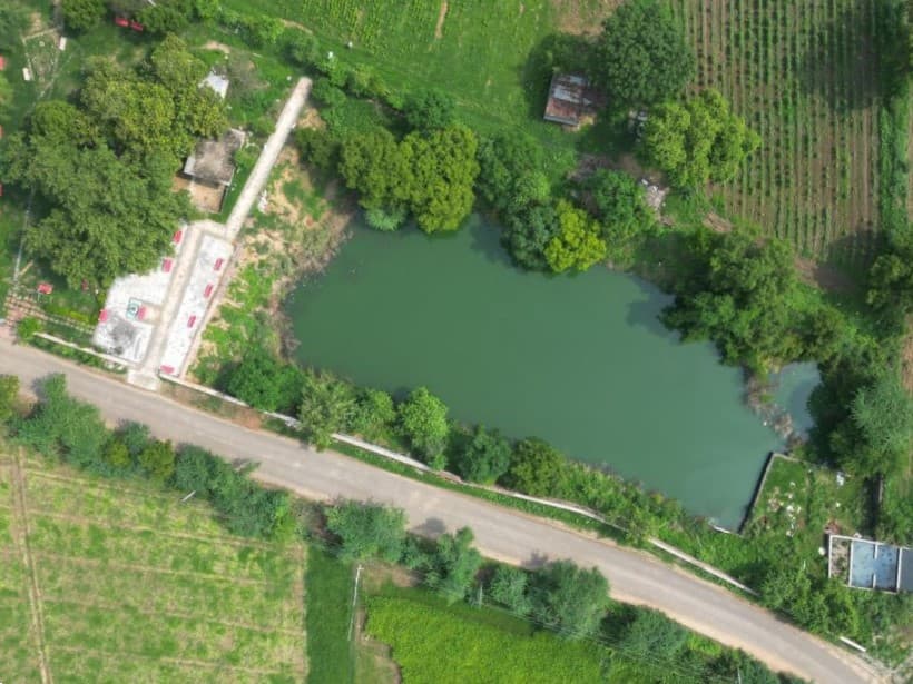 Maujabad Pond after restoration — clean embankment, landscaping and a thriving community asset